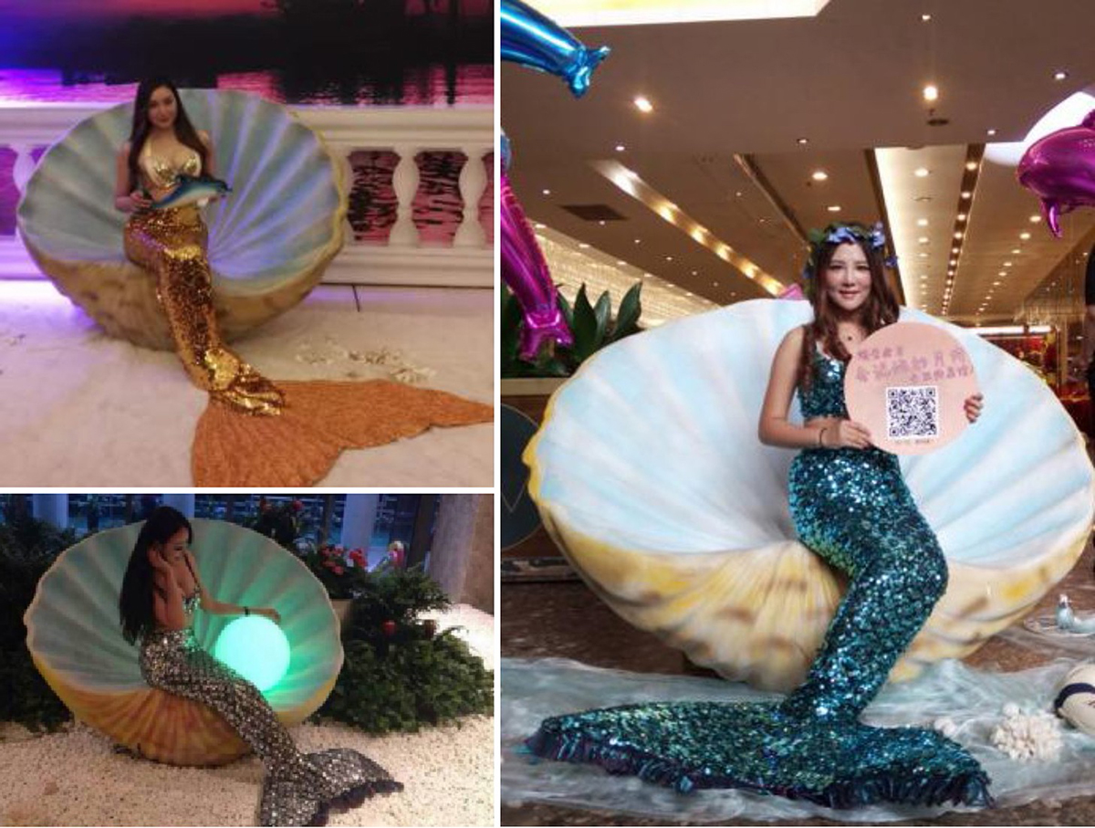 Vݳ(ji)Ŀ(jng)o(j)˾